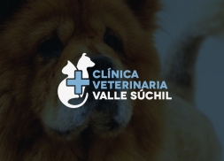 Diseño logo clínica veterinaria Madrid