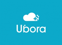 Diseño de logotipo para empresa de software