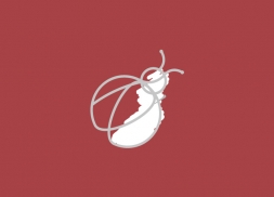 Diseño de logotipo mariquita para empresa de eventos
