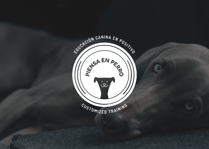 Diseño de logotipo para empresa de educación canina