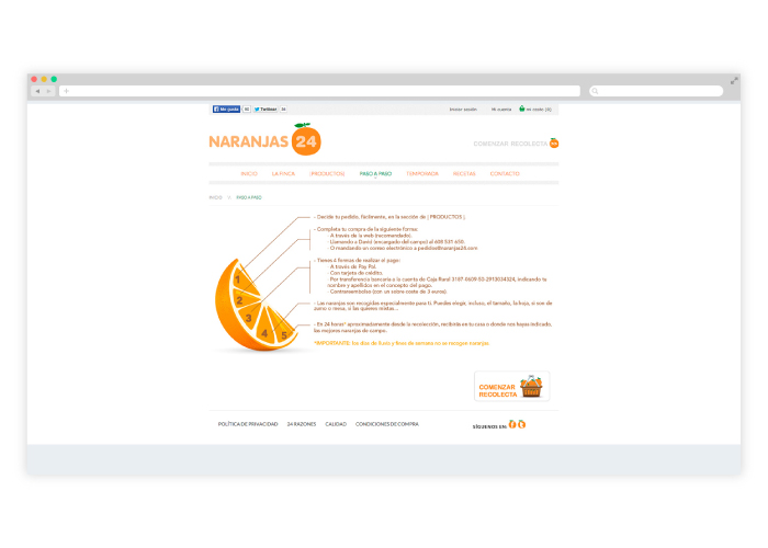 Diseño web para finca de naranjas